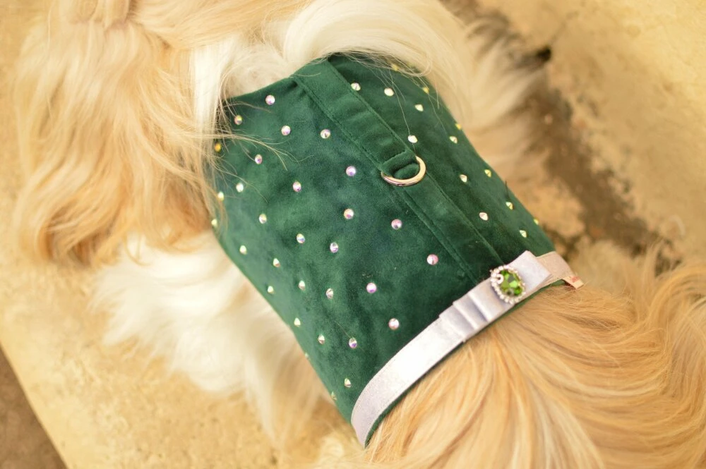 Harnais Noël En Velours Pour Chien Avec Strass 1 Harnais Noël En Velours Pour Chien Avec Strass