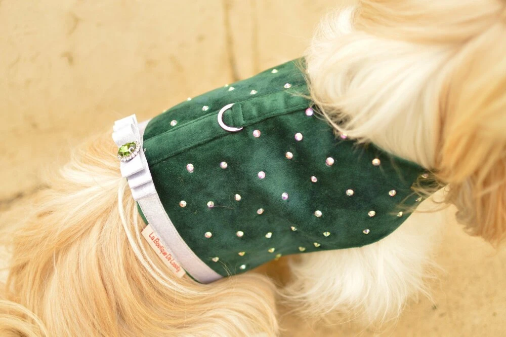 Harnais Noël En Velours Pour Chien Avec Strass 2 Harnais Noël En Velours Pour Chien Avec Strass – Image 2