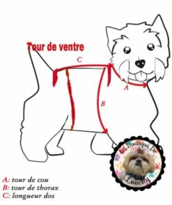Harnais Noël En Velours Pour Chien Avec Strass 8 Harnais Noël En Velours Pour Chien Avec Strass -Papeterie Boutique 3310776 harnais noel en velours pour chien avec strass harnais no 3