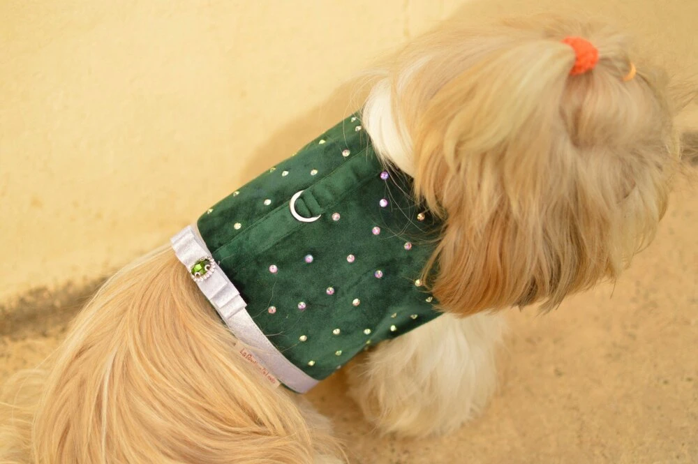 Harnais Noël En Velours Pour Chien Avec Strass 4 Harnais Noël En Velours Pour Chien Avec Strass – Image 4