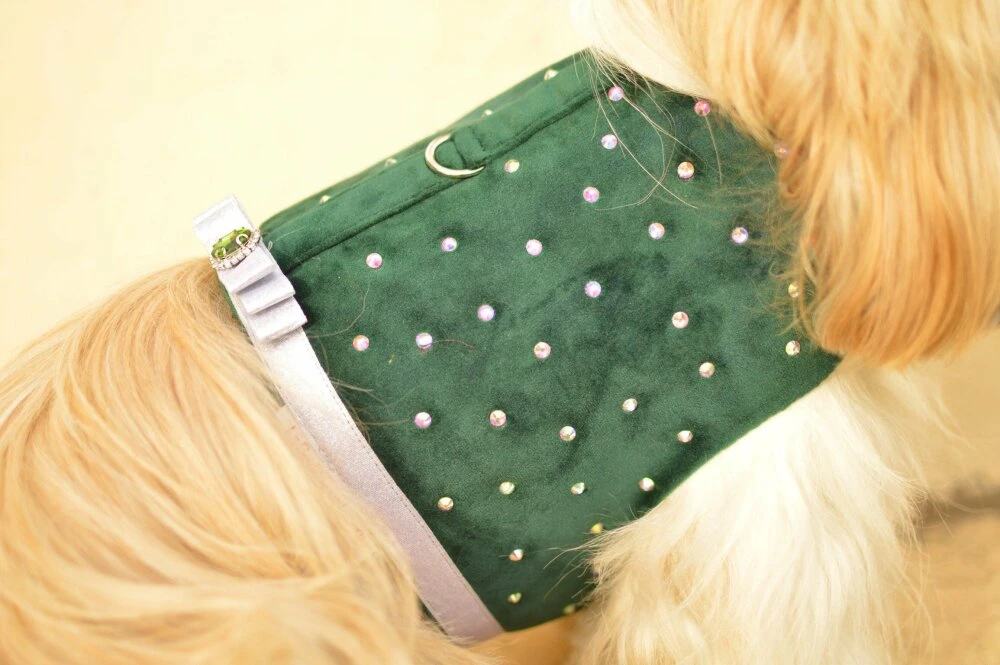 Harnais Noël En Velours Pour Chien Avec Strass 5 Harnais Noël En Velours Pour Chien Avec Strass – Image 5