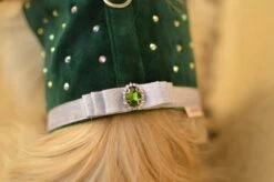 Harnais Noël En Velours Pour Chien Avec Strass 11 Harnais Noël En Velours Pour Chien Avec Strass -Papeterie Boutique 3310776 harnais noel en velours pour chien avec strass harnais no 6