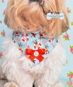 Bandana Bleu Ciel Noël Avec Strass Pour Chien & Chat / Avec Noeud Assorti