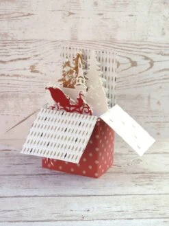 Carte De Noël, Boîte Pop Up.
