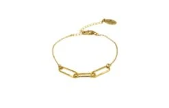 Bracelet Femme Minimaliste De Chaîne Trombone Cadeau De Noël- Doré à L 'or Fin 10 Bracelet Femme Minimaliste De Chaîne Trombone Cadeau De Noël- Doré à L 'or Fin -Papeterie Boutique 4050318 bracelet femme minimaliste de chaine trombone cadeau de n 5