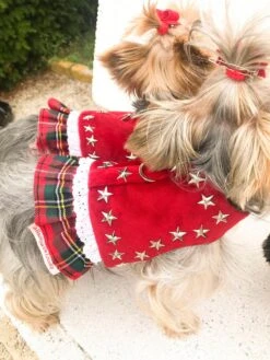 Harnais En Velours Rouge Avec Volant écossais / Harnais Chien Sur Mesure / Harnais Velours Chien / Harnais Noël Chien / Harnais Chic Chien