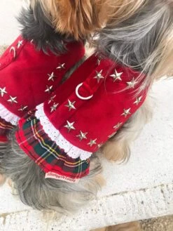 Harnais En Velours Rouge Avec Volant écossais / Harnais Chien Sur Mesure / Harnais Velours Chien / Harnais Noël Chien / Harnais Chic Chien -Papeterie Boutique 4277500 harnais en velours rouge avec volant ecossais harnais chi 3