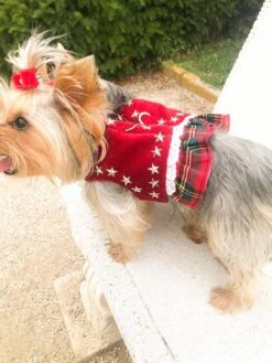 Harnais En Velours Rouge Avec Volant écossais / Harnais Chien Sur Mesure / Harnais Velours Chien / Harnais Noël Chien / Harnais Chic Chien -Papeterie Boutique 4277500 harnais en velours rouge avec volant ecossais harnais chi 5