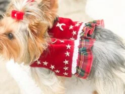 Harnais En Velours Rouge Avec Volant écossais / Harnais Chien Sur Mesure / Harnais Velours Chien / Harnais Noël Chien / Harnais Chic Chien -Papeterie Boutique 4277500 harnais en velours rouge avec volant ecossais harnais chi 6