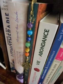Marque Page Arbre De Vie 7 Chakras Fait Main Couleur Bronze Antique Pierre Naturelle Femme Enfant Cadeau Noël Fête Anniversaire 8 Marque Page Arbre De Vie 7 Chakras Fait Main Couleur Bronze Antique Pierre Naturelle Femme Enfant Cadeau Noël Fête Anniversaire -Papeterie Boutique 4529330 marque page arbre de vie 7 chakras fait main couleur bronze 4