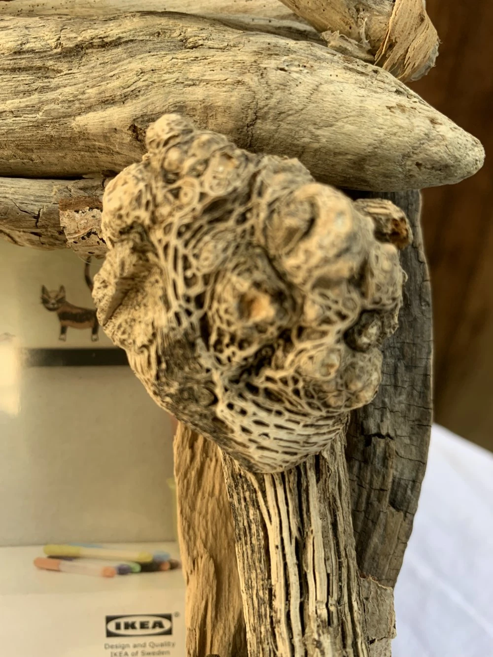 Cadre Photo En Bois Flotté Pour Noël 2 Cadre Photo En Bois Flotté Pour Noël – Image 2